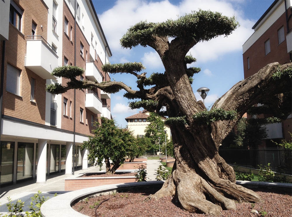 new residential buildings and outdoor area - Mariano Comense